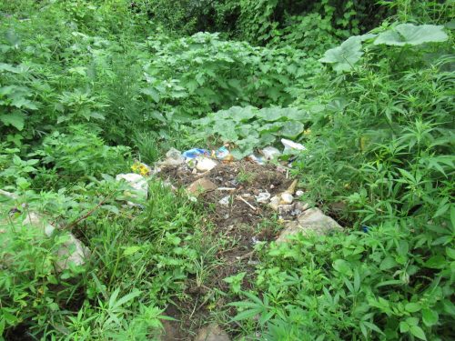 ゴミは回収されず、川の近くや村の外れに廃棄される